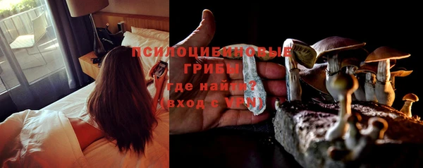 дживик Дмитров