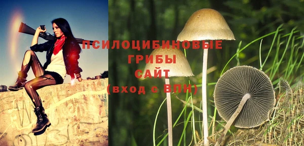 ALPHA-PVP Дмитриев