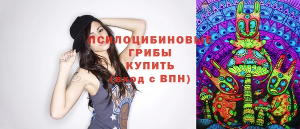 дживик Дмитров