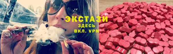 дживик Дмитров
