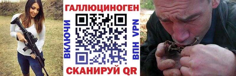Галлюциногенные грибы Psilocybe  Купить где  Ленинск 