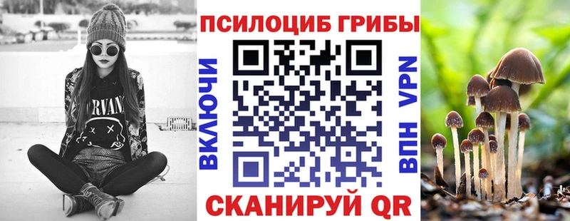 Галлюциногенные грибы Psilocybine cubensis Ленинск